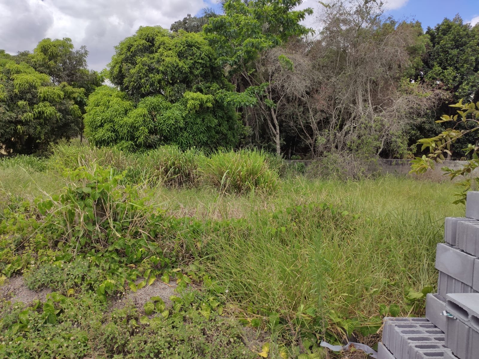 TERRENO A VENDA NO LOTEAMENTO - JUEIRANA