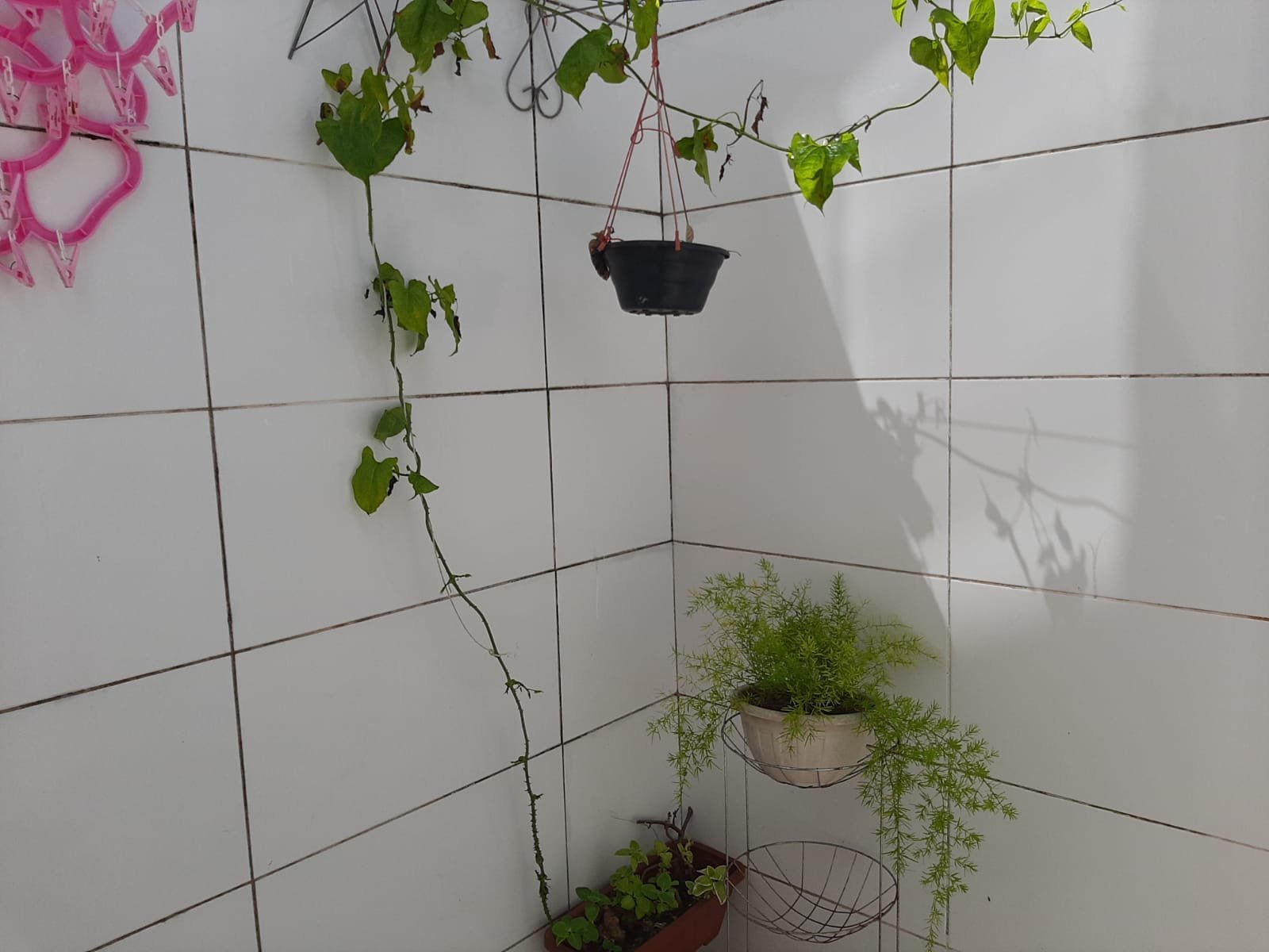 CASA TÉRREA PARA ALUGAR NO COND. PARQUE SÃO JOSÉ