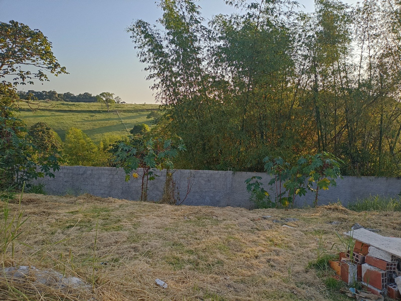 TERRENO - MARINA VILLE