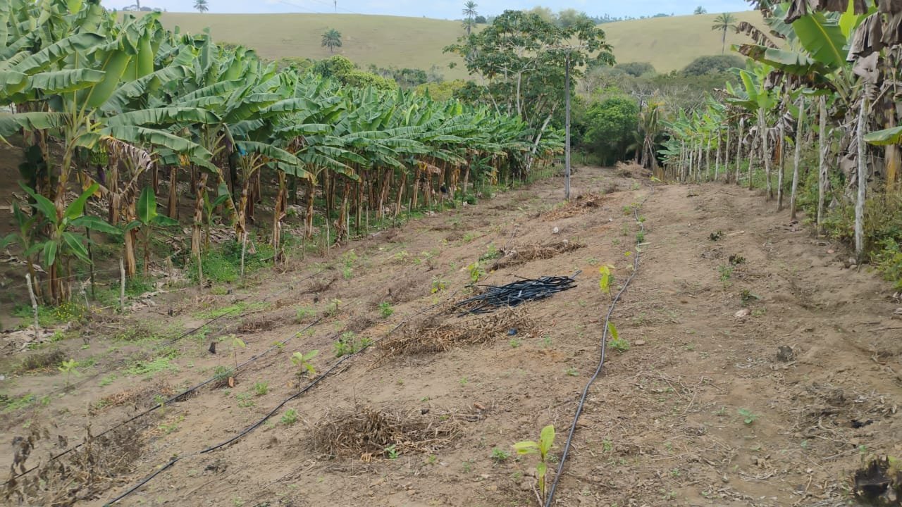 CHÁCARA À VENDA NO POVOADO DO CRUZEIRO DE LAJE