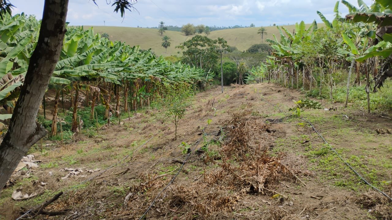 CHÁCARA À VENDA NO POVOADO DO CRUZEIRO DE LAJE